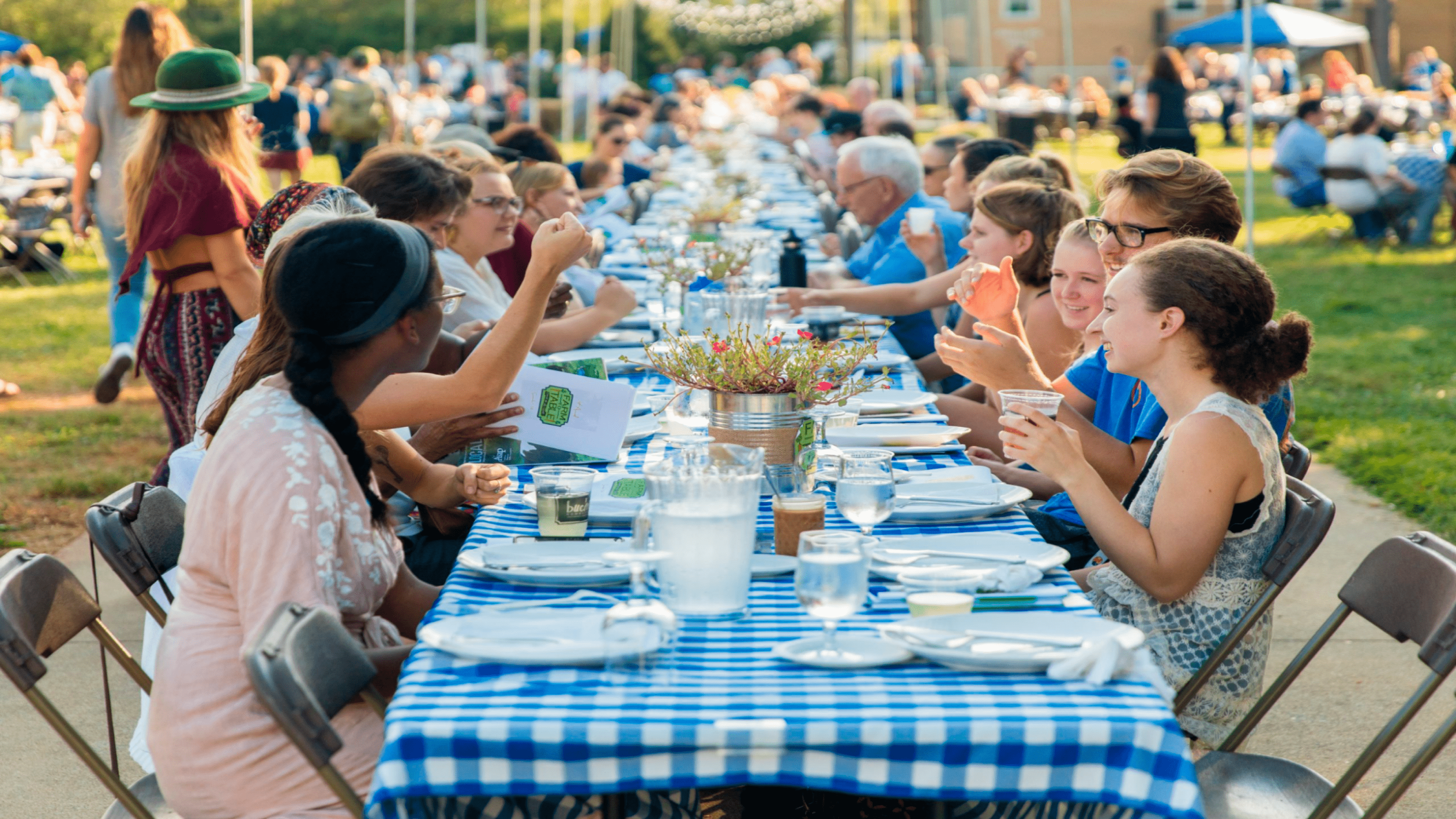 Organize a farm-to-table dinner 