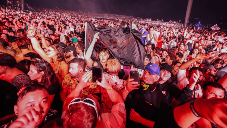 crowd of people at music festival